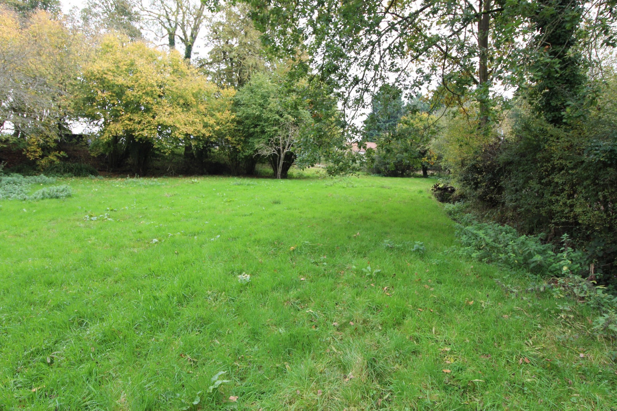 Land Sold in Weeks, Great Dunmow | Beresfords Land Case Study