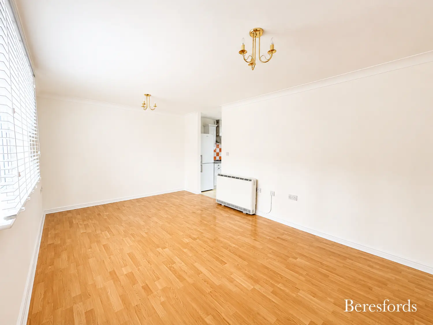 BRL060049 20