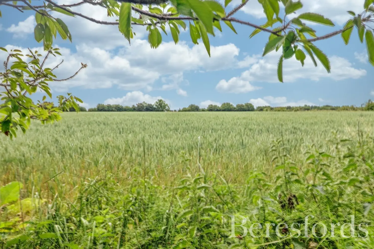 Colchester Road, Coggeshall, ESSEX, CO6